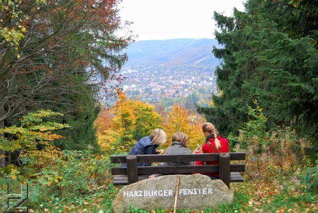 Ferienwohnungen Am Elfenstein Бад-Гарцбург Экстерьер фото